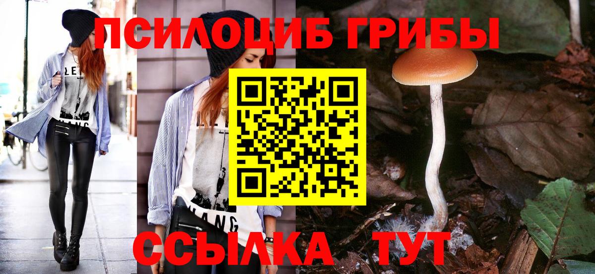 Санкт-Петербург  Псилоцибиновые грибы мицелий  Вход с VPN 