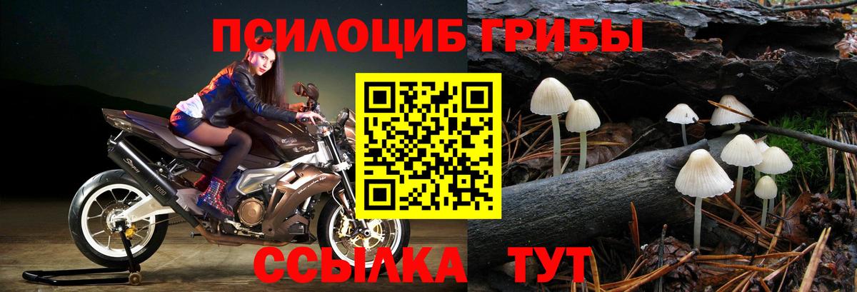 Галлюциногенные грибы мухоморы Санкт-Петербург
